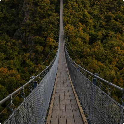 A very long bridge, over the forest...